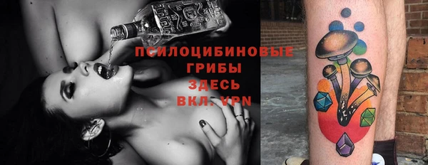 тгк Алексеевка