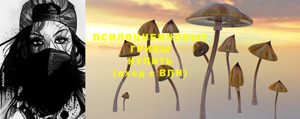героин Алзамай
