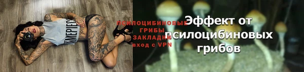 трава Арсеньев