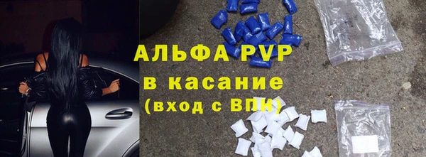 мет Алексин