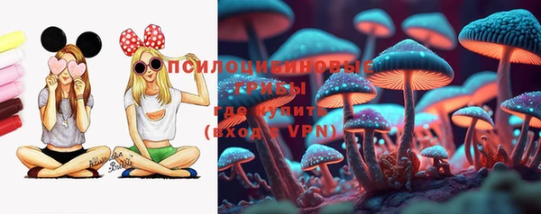 тгк Алексеевка