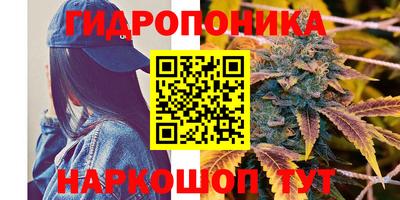 мдпв Пушкино