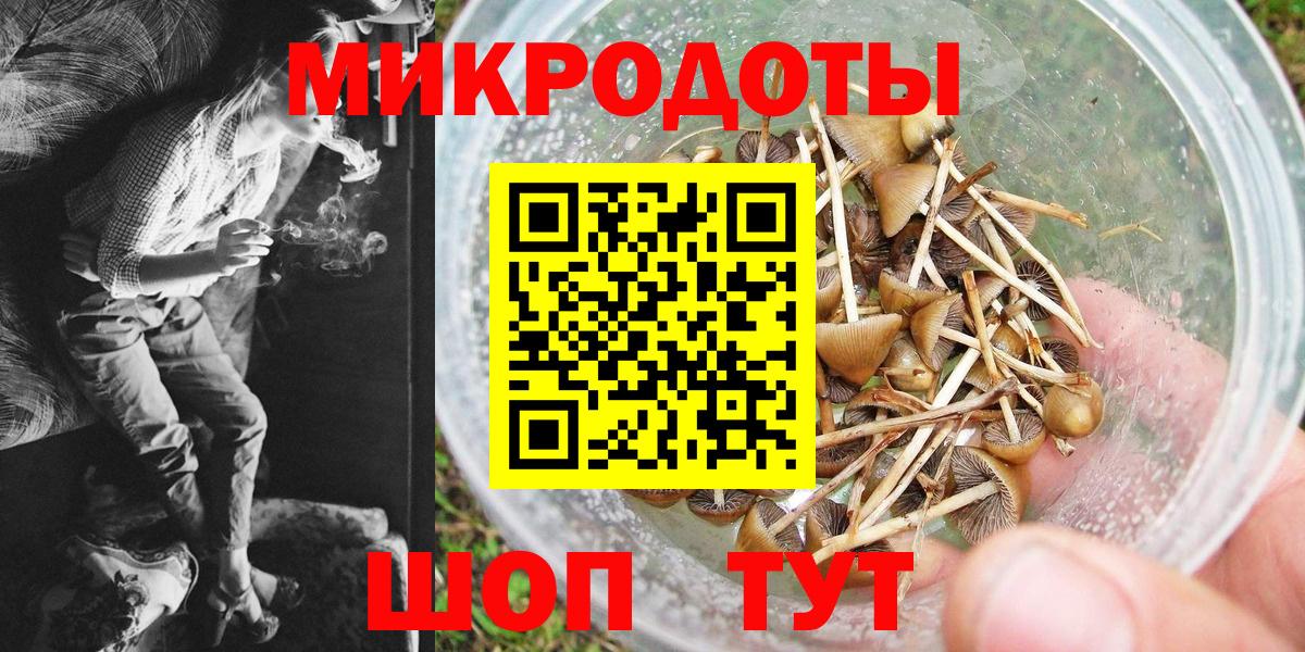 Псилоцибиновые грибы Psilocybine cubensis  Вход с VPN  Павловский Посад 