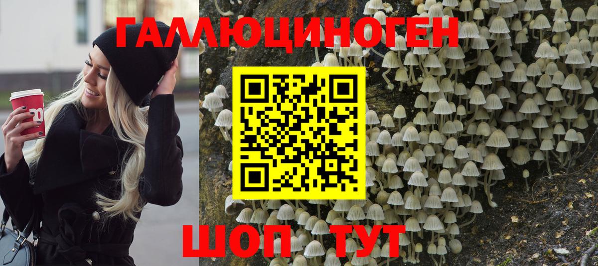 Галлюциногенные грибы мухоморы Павловский Посад