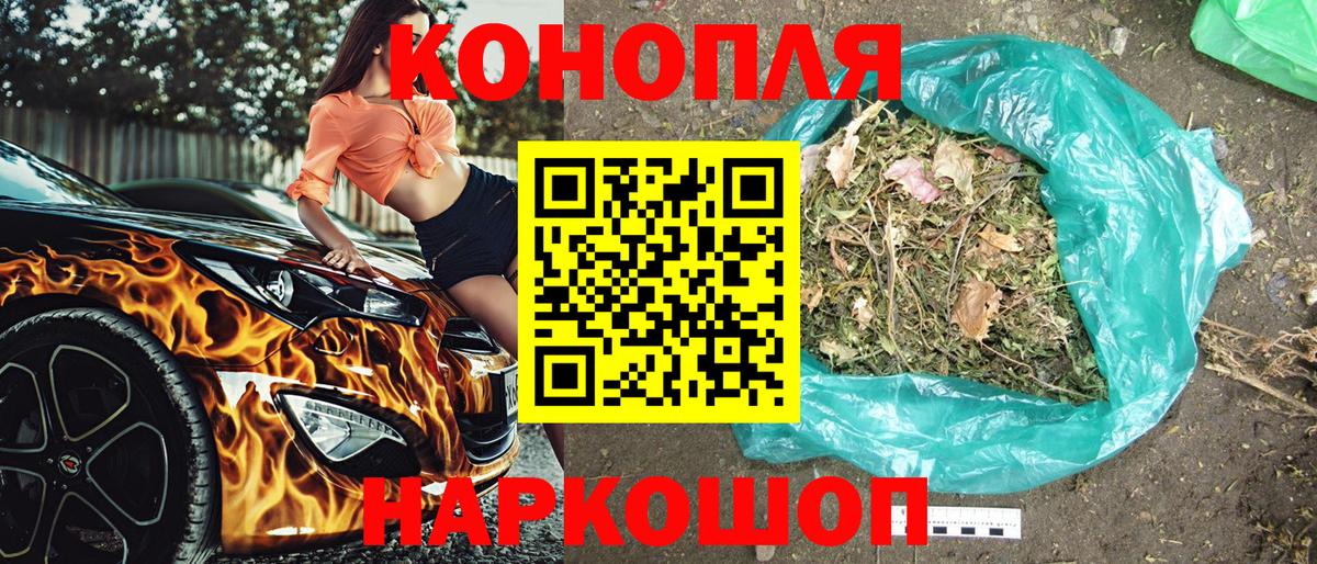 Конопля индика  Вход с VPN  Конопля ГИДРОПОН  Павловский Посад  Канабис White Widow 